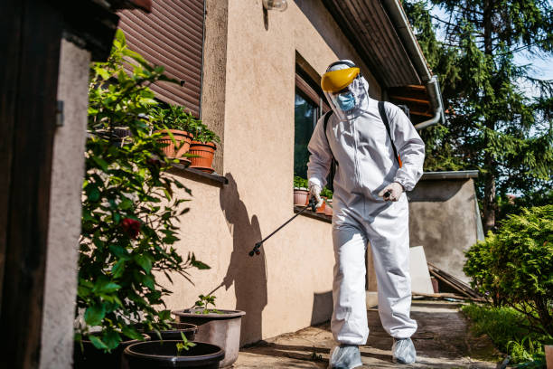 Wildlife Control Services in Panama City, FL