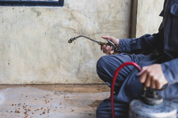 Professional Pest Control in Panama City, FL